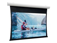 Da-Lite Tensioned Elpro Concept - Projektorduk - takmontering, väggmontering - motoriserad - 230 V - 122.05" (310 cm) - 16:9 - HD Progressive 1.1 Contrast - RAL 9016 10101047