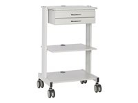 Eaton Tripp Lite Series Mobile Workstation with 2x Adjustable Shelves, 2x Metal Drawers, Locking Casters, TAA - Vagn - för LCD-display/PC-utrustning - stål, trä - elfenben - golvstående - TAA-kompatibel WWSS2DWSTAA