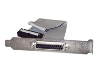 StarTech.com 16in DB25 Parallel Female to IDC 25 Pin Header Slot Plate (PLATE25F16) - Parallellpanel - DB-25 (hona) till 26 pin IDC (hona) - 40.64 cm - grå PLATE25F16