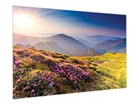 Da-Lite FullVision - Projektorduk - väggmontering - 93" (236 cm) - 16:10 - HD Progressive 1.1 10600755