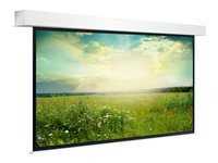 Projecta Descender Large Electrol WIDE Format - Yta på projektorduk - 221" (563 cm) - 16:9 - Matte White 10141460