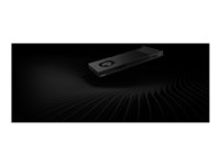 NVIDIA RTX PRO 4000 Blackwell - Grafikkort - RTX PRO 4000 Blackwell - 24 GB - för P/N: 360K6AA, 38T92AA, 436M8AA#ABB, 56Q86AA, 6E3Z5AA, 6J6H7AA, 6J6H8AA, 79C24AA, 7H9Z3AA B11F3AA