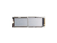 HP - SSD - Value - 256 GB - inbyggd - M.2 2280 - PCIe 4.0 x4 &#40;NVMe&#41; - för Workstation Z2 G9 &#40;mini&#41; 4N009AA