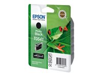Epson T0541 - 13 ml - foto-svart - original - blister - bläckpatron - för Stylus Photo R1800, R800 C13T05414010