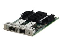 Nvidia Mellanox ConnectX-6 Lx - Kundsats - nätverksadapter - OCP 3.0 - 25Gb Ethernet SFP28 x 2 - med Överta Dell-systemets garanti ELLER ett års maskinvarugaranti - för PowerEdge R450, R550, R650, R6525, R660, R6615, R6625, R750, R7525, R760, R7615, R7625 540-BDJE