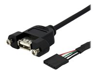 StarTech.com 1 ft Panel Mount USB Cable - USB A to Motherboard Header Cable Adapter F/F - USB 2.0 internal Cable (USBPNLAFHD1) - USB-intern till extern kabel - USB (hona) till 5 stifts USB 2.0-rubrik (hona) - 30 cm - tumskruvar - svart USBPNLAFHD1