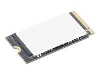 Lenovo - SSD - krypterat - 256 GB - inbyggd - M.2 2242 - PCIe 4.0 (NVMe) - TCG Opal Encryption 2.0 - blå - för 100w Gen 5; 300w 2-in-1 Gen 5; 500w 2-in-1 Gen 5; ThinkPad X9-14 Gen 1; X9-15 Gen 1 4XB1T94544