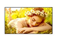 LG 50UL5Q-E - 50" Diagonal klass UL5Q-E Series LED-bakgrundsbelyst LCD-skärm - digital skyltning med integrerat Pro:Idiom - webOS - 4K UHD (2160p) 3840 x 2160 - Direct LED - svart 50UL5Q-E