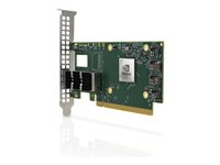 Mellanox ConnectX-6 Dx EN - nätverksadapter - PCIe 4.0 x16 - 100 Gigabit DSFP x 2 900-9X675-0076-MB0