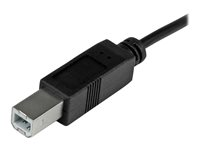 StarTech.com USB 2.0 USB-C till USB-B-kabel - 1 m - USB-kabel - 24 pin USB-C (hane) till USB typ B (hane) - USB 2.0 - 1 m - svart - för P/N: HB30A3A1CFB, HB30A3A1CSFS, HB30C3A1CFB, HB30C3A1CFS USB2CB1M